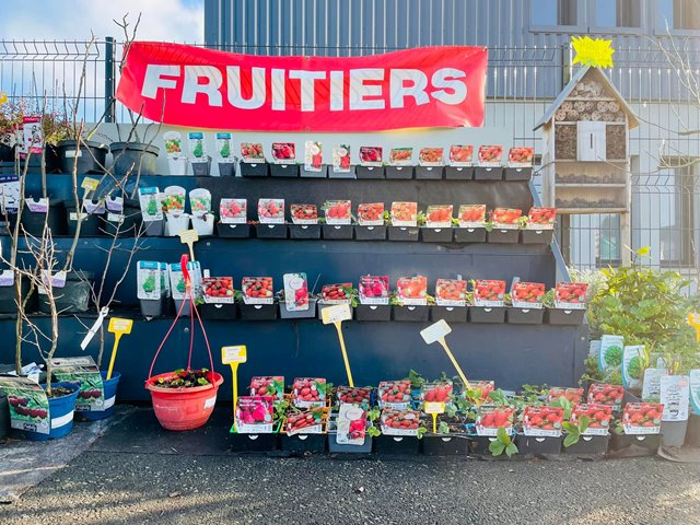 fruitiers