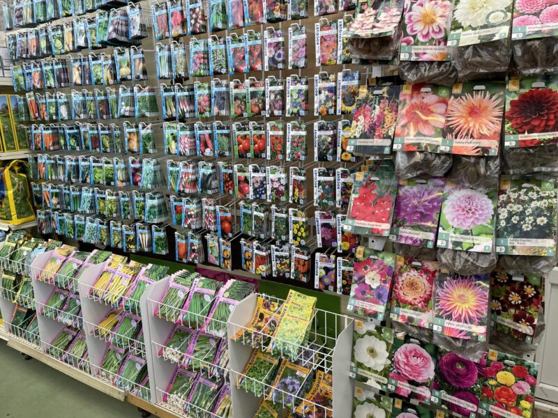 nos bulbes et graines